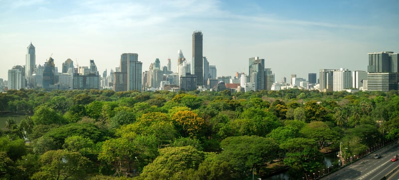 green city park with skyscraper skyline